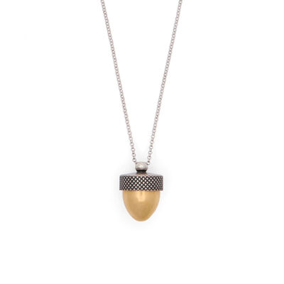 Acorn and squirrel locket necklace